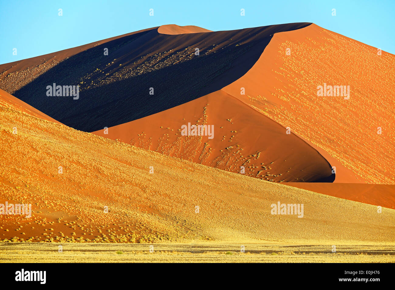 Riesige Sandduenen im Abendlicht letzten, Namib Naukluft Nationalpark, Sossusvlei, Namibia, Afrika Foto Stock