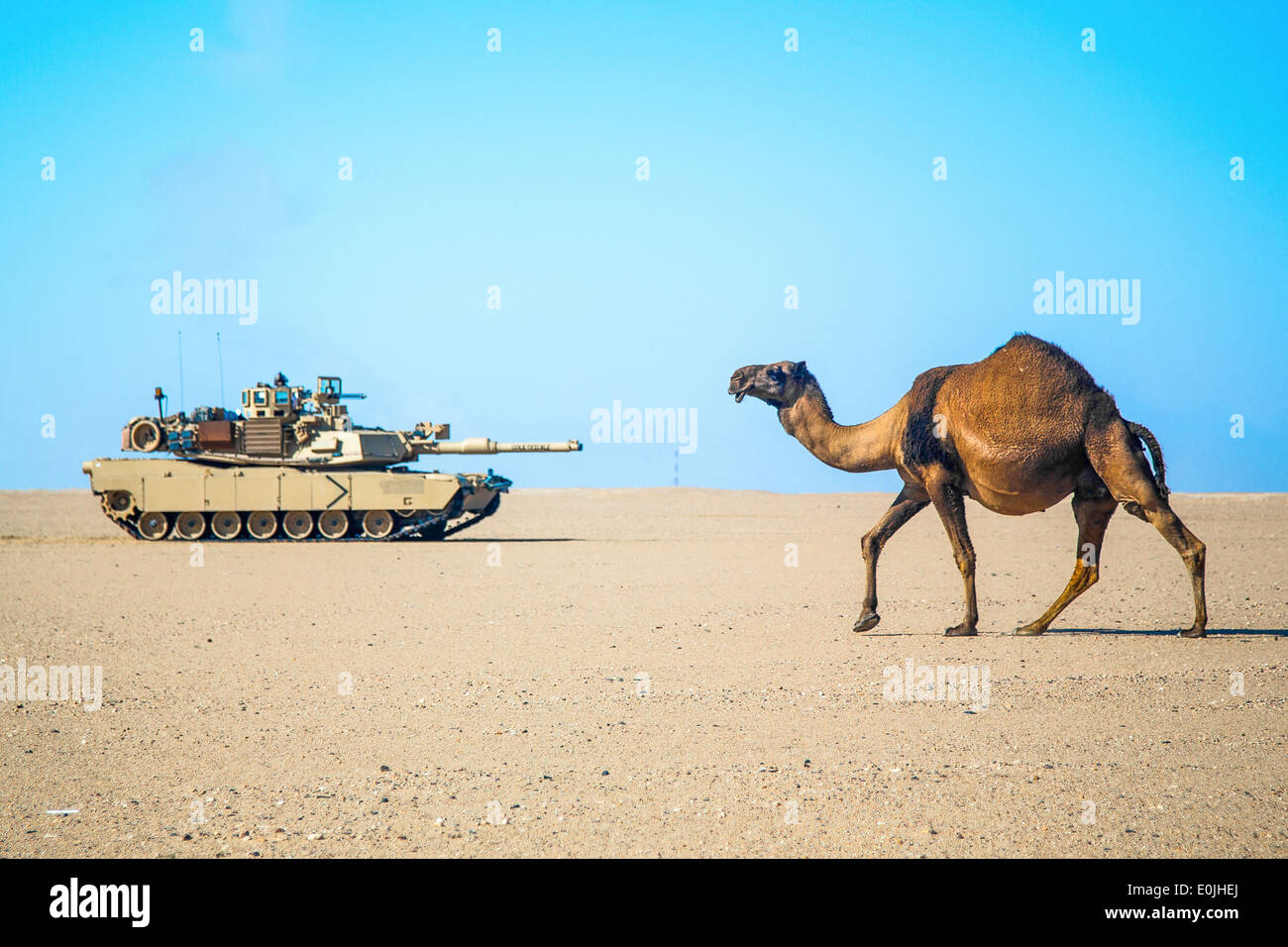 Un U.S. Army M1A2 Abrams battaglia principale serbatoio, la società C, 1° Battaglione, sessantasettesima Armor reggimento, 2° Brigata corazzate Team di combattimento, 4 mi Foto Stock