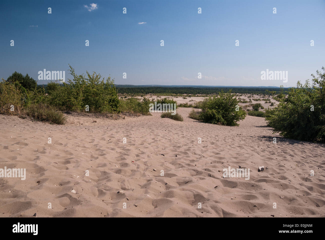 Pustynia Bledowska (Bledow deserto), Polonia meridionale Foto Stock