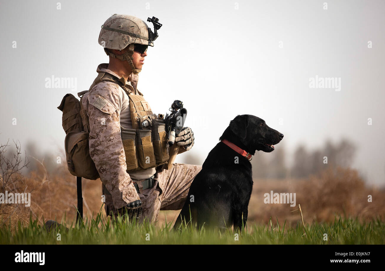 Stati Uniti Lancia Marine Cpl. Nick Lacarra, un gestore del cane con combinate Anti-Armor Team 2, armi Company, 3° Battaglione, 3° Marine Foto Stock