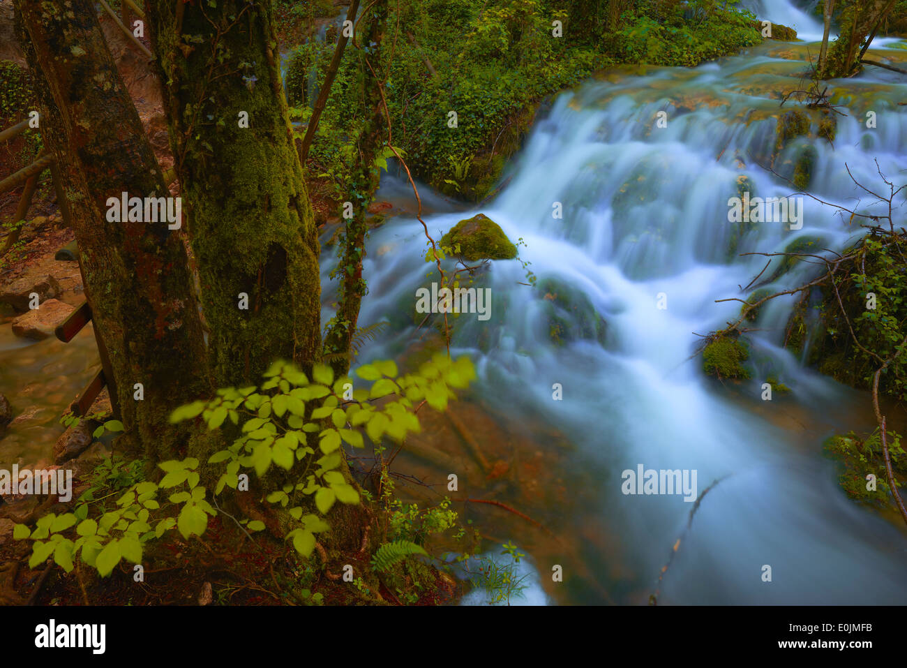 Urederra River, Urbasa parco naturale. Urederra river vicino alla sua fonte, in Navarra. Baquedano, Navarra, Spagna. Foto Stock