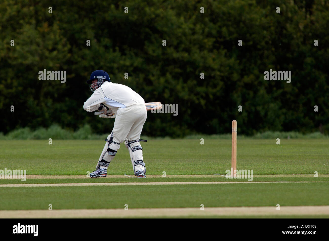 Università sport, uomini cricket all Università di Warwick, England, Regno Unito Foto Stock