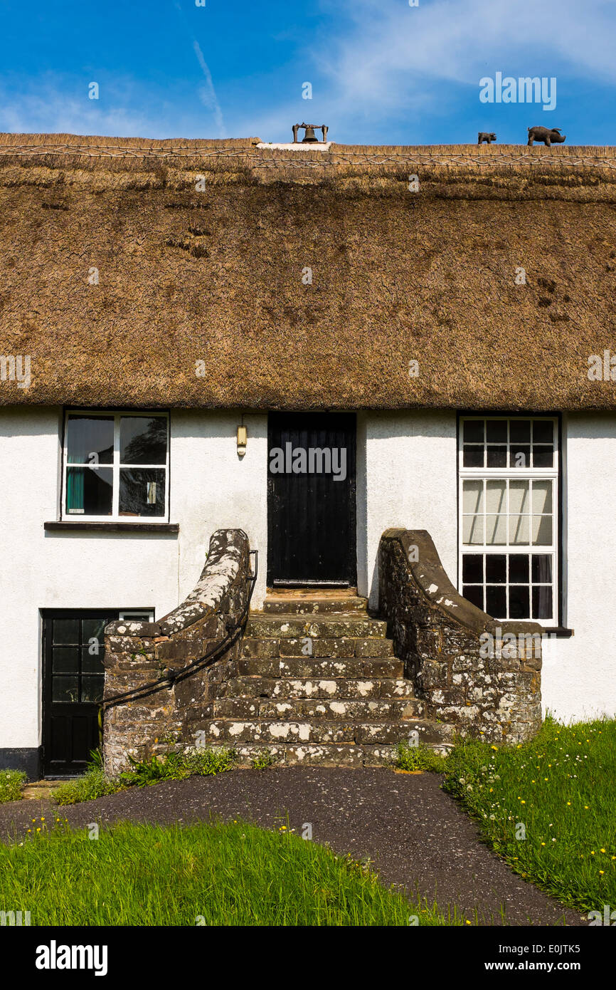 Un cottage con tetto di paglia in Cheriton Fitzpaine, Devon, Inghilterra. Avviso il maiale figurine sul tetto! Foto Stock