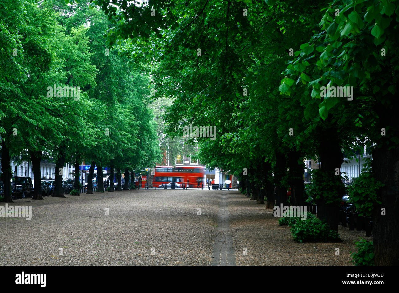 Visualizza in basso Royal Avenue al King's Road, a Chelsea, Londra, Regno Unito Foto Stock