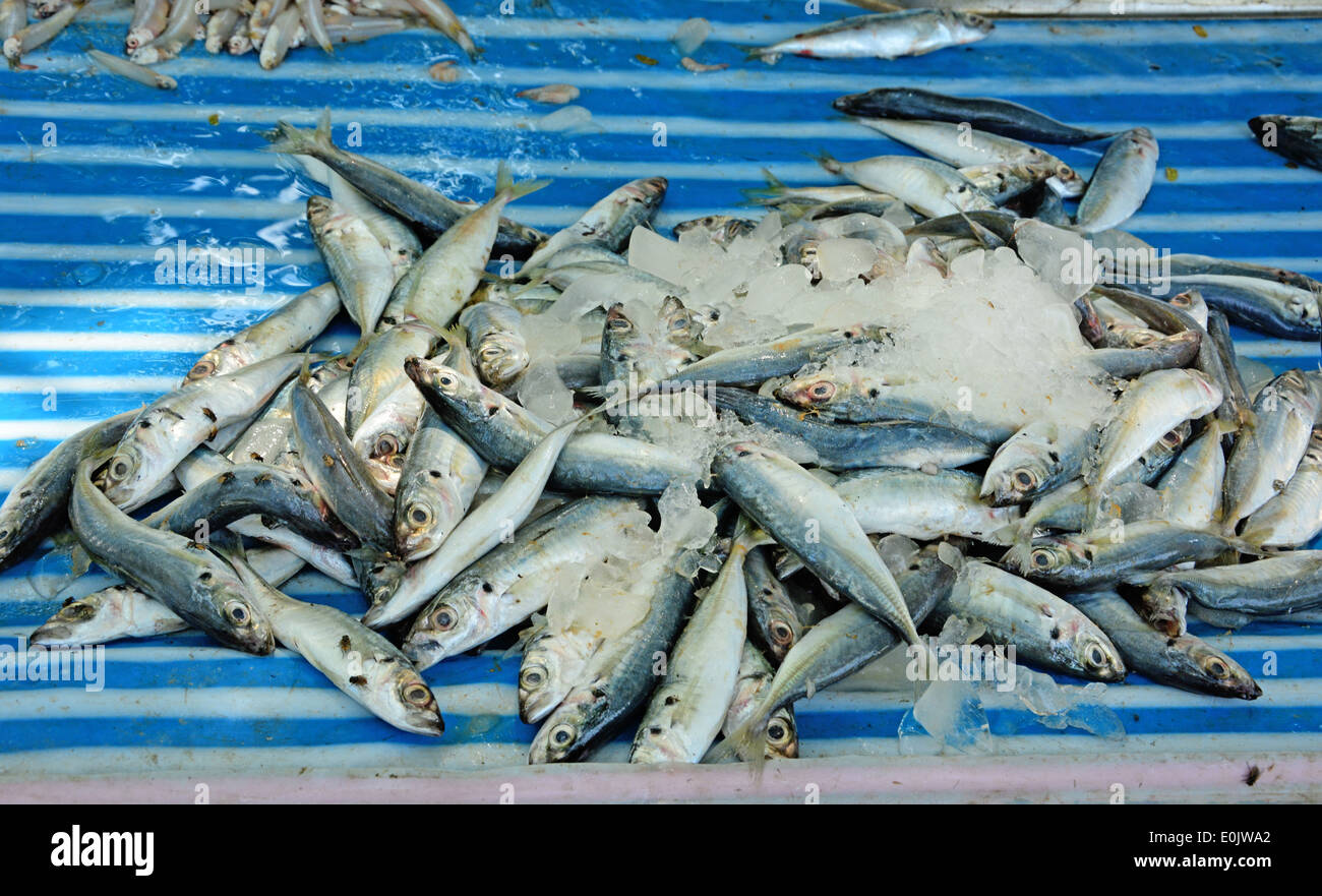 Fish in vendita Foto Stock