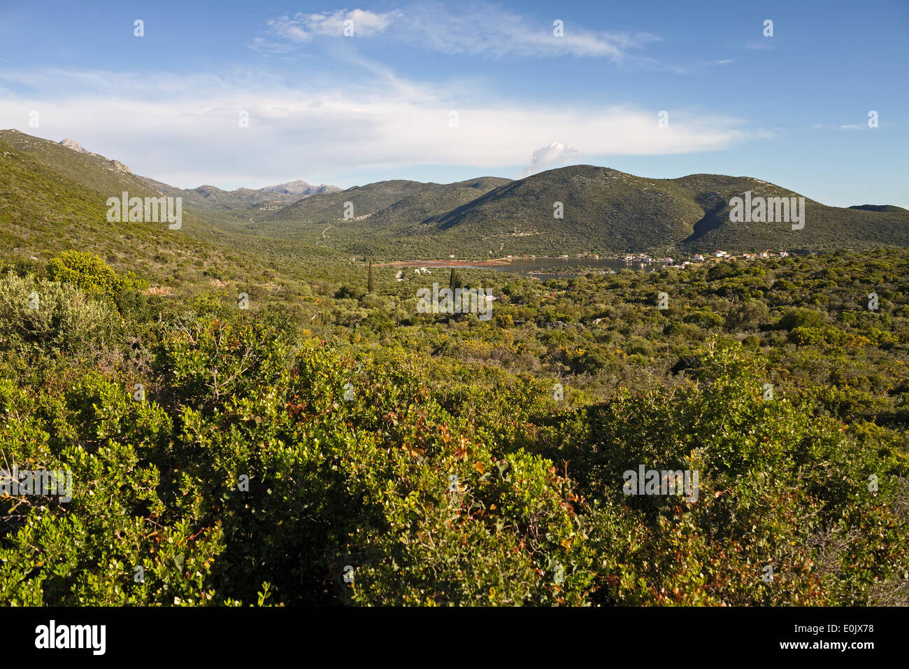 Un tipico paesaggio mediterraneo nella zona del villaggio Ierakas, Laconia regione, Grecia Foto Stock