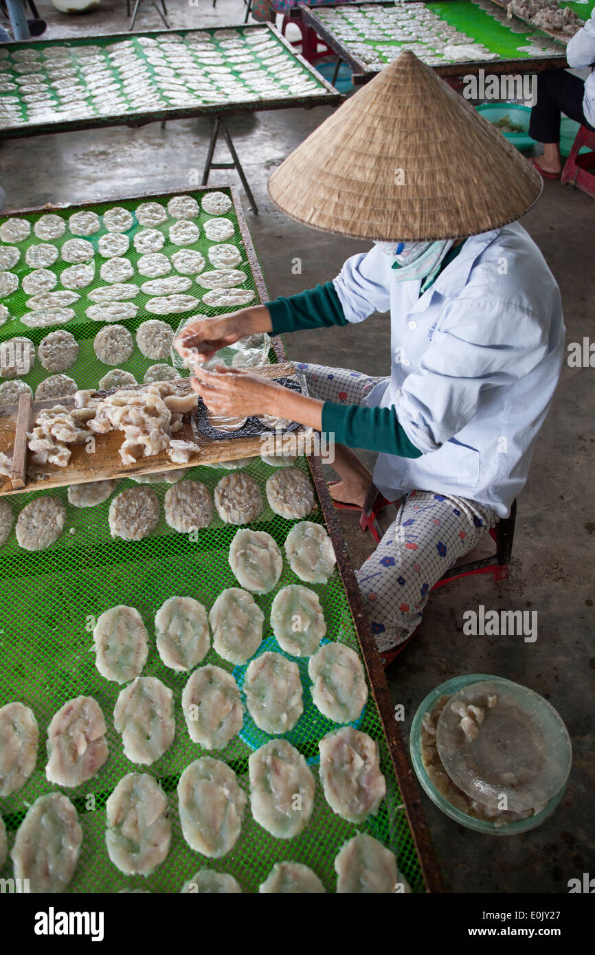 La lavorazione del pesce Factory Hoi An Vietnam Foto Stock