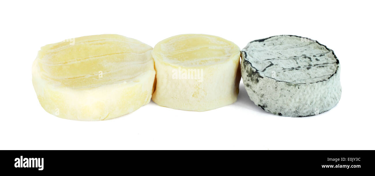 Tre porzioni di soft round formaggi di capra isolati su sfondo bianco Foto Stock