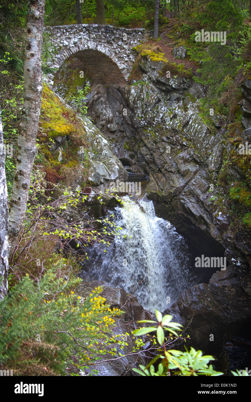 Ponte Inferiore, le cascate di Bruar, Perth & Kinross, Scotland, Regno Unito Foto Stock