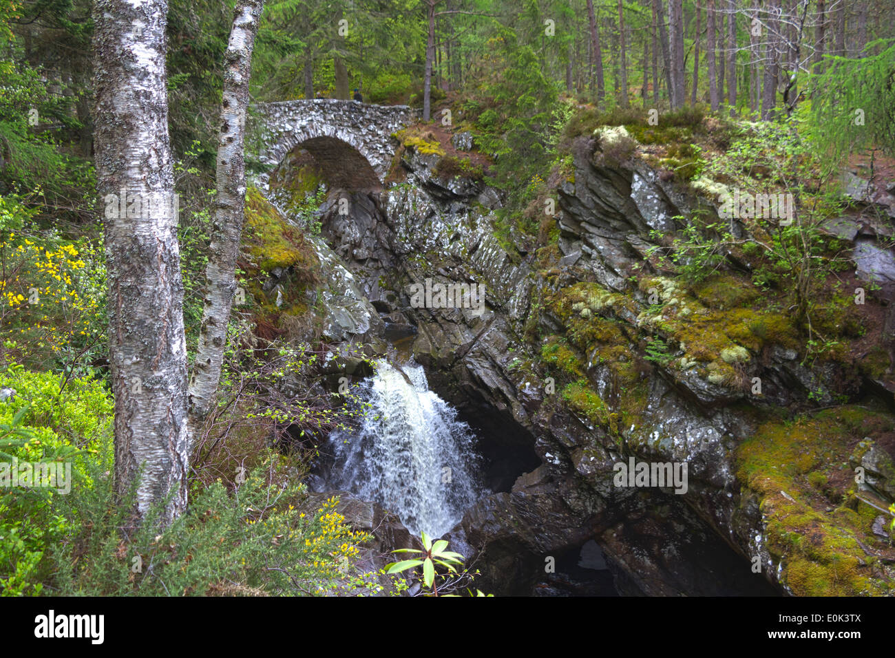 Ponte Inferiore, le cascate di Bruar, Perth & Kinross, Scotland, Regno Unito Foto Stock