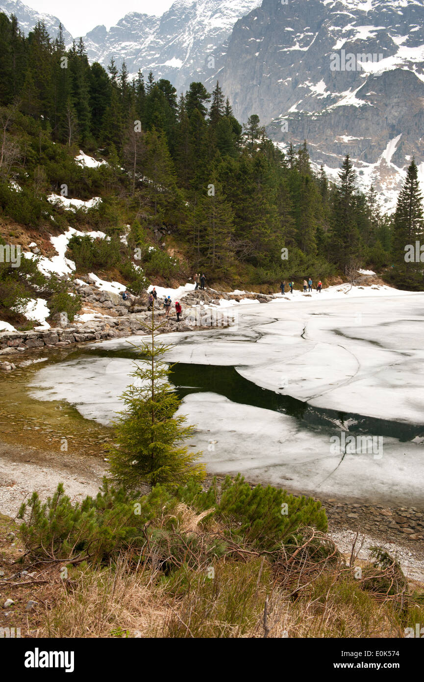 I turisti trek intorno Morskie Oko Lago Foto Stock