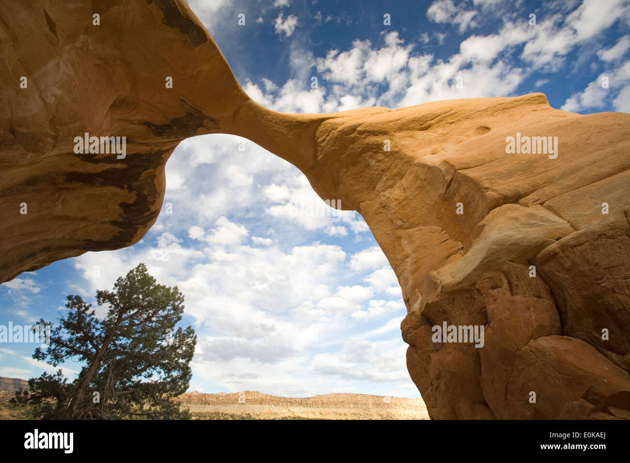 Metate Arch, Giardino del Diavolo, Grand Staircase-Escalante monumento nazionale, USA Utah Foto Stock