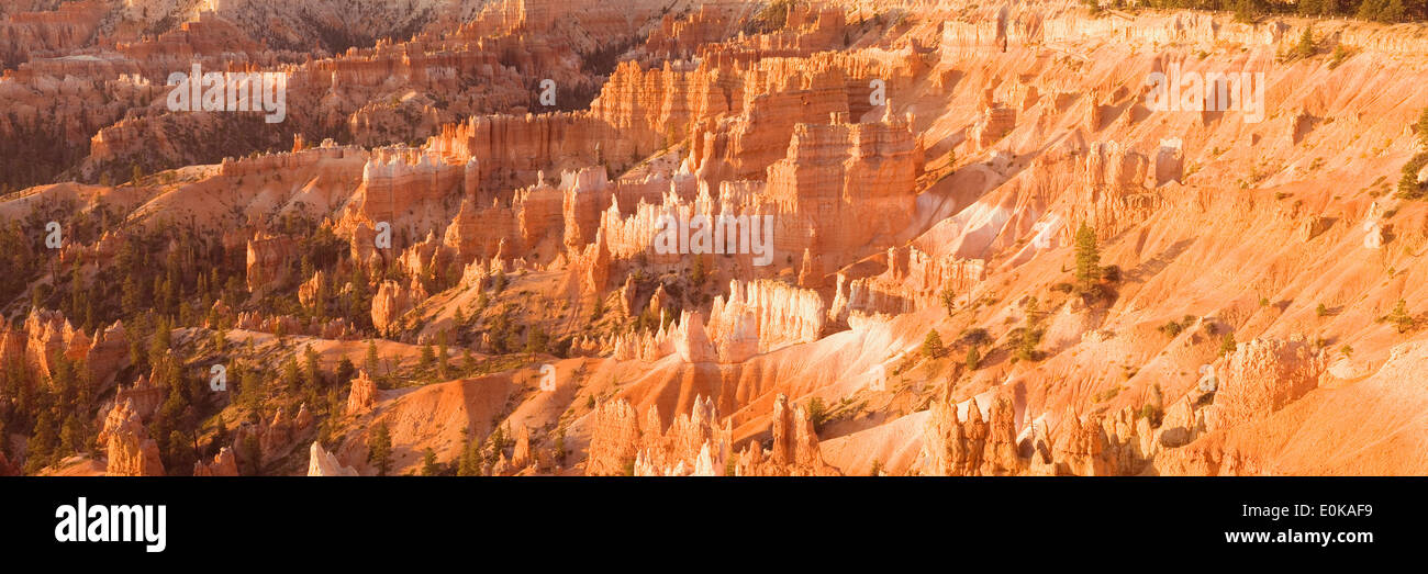 Hoodoos dal punto di Sunrise, Bryce Canyon National Park nello Utah Stati Uniti d'America Foto Stock