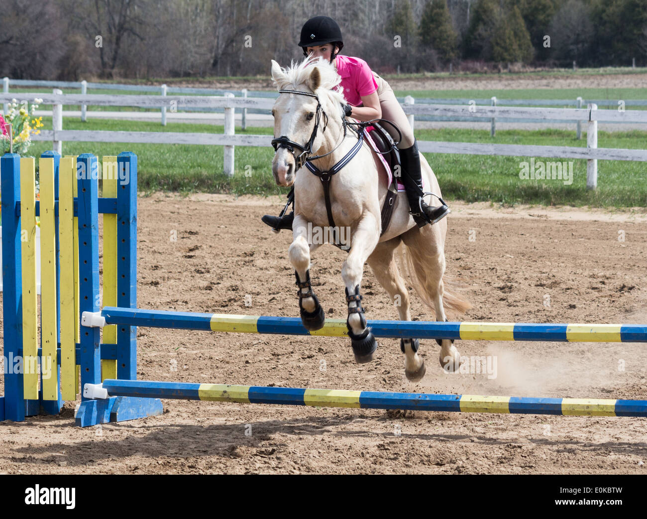 Ragazza adolescente rider su un cavallo Palomino pony salto di clearing presso una locale scuola horse show. Foto Stock