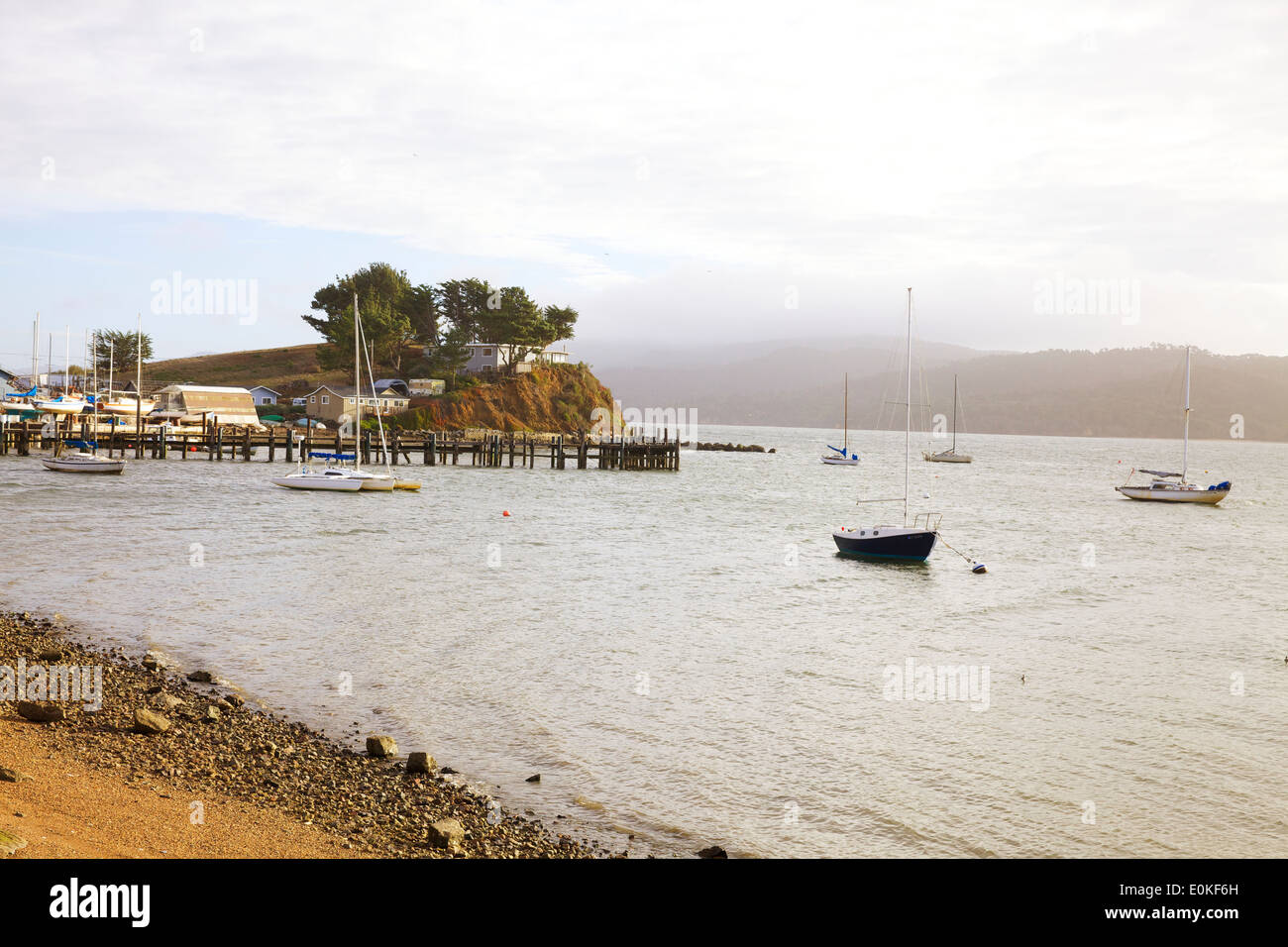 Barche a vela ancorata su Tomales Bay di Marshall, California. Foto Stock
