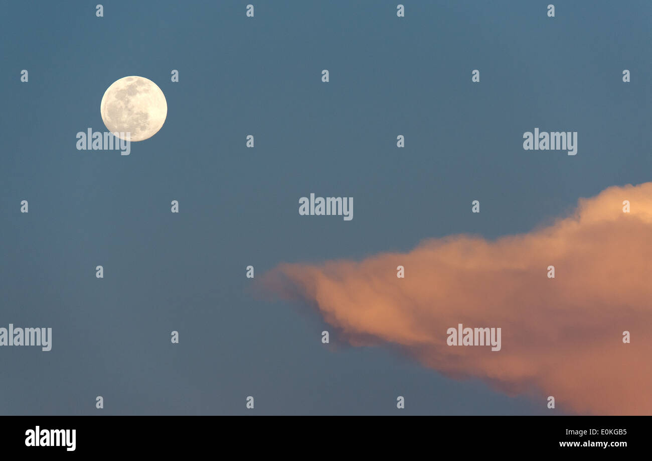 La luna piena sorge presso la Merritt Island National Wildlife Refuge su il punto nero Wildlife Drive in Florida. Foto Stock