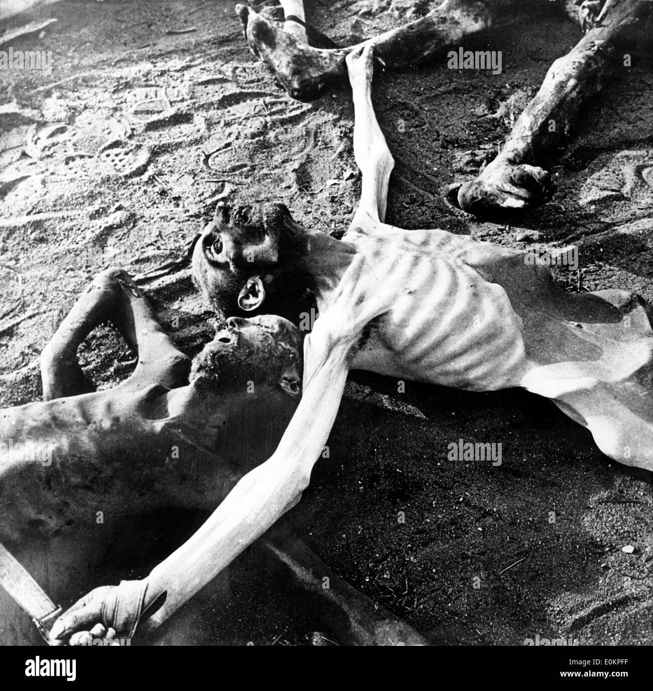 Le immagini dello scheletro di cadaveri a Bergen-Belsen campo di concentramento nazista Foto Stock