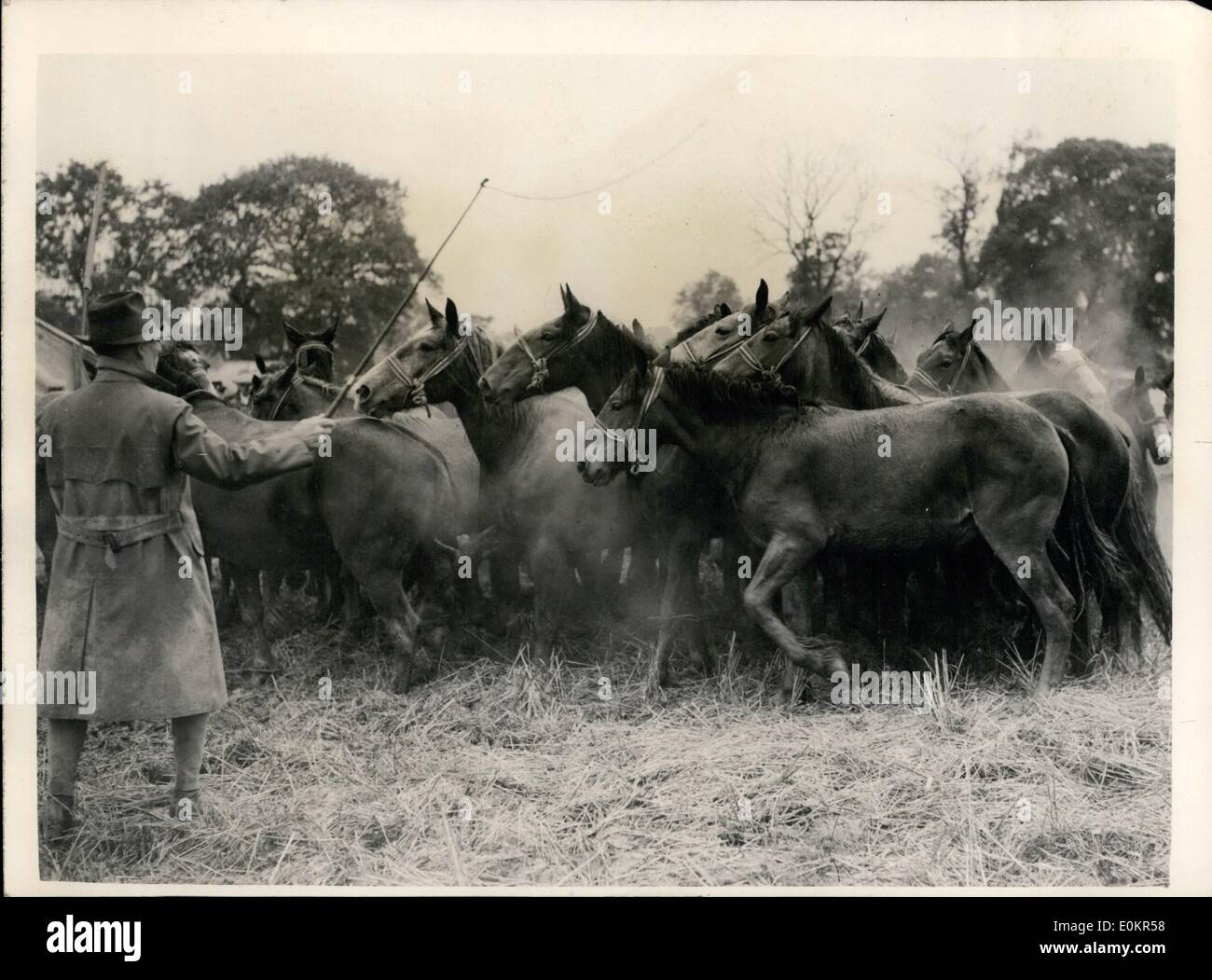 Apr. 04, 1946 - conteggio di pioggia impedire Barnet annuale della Fiera del cavallo.: nonostante la pioggia annuale cavallo e piacere fiera era tenuto a Foto Stock