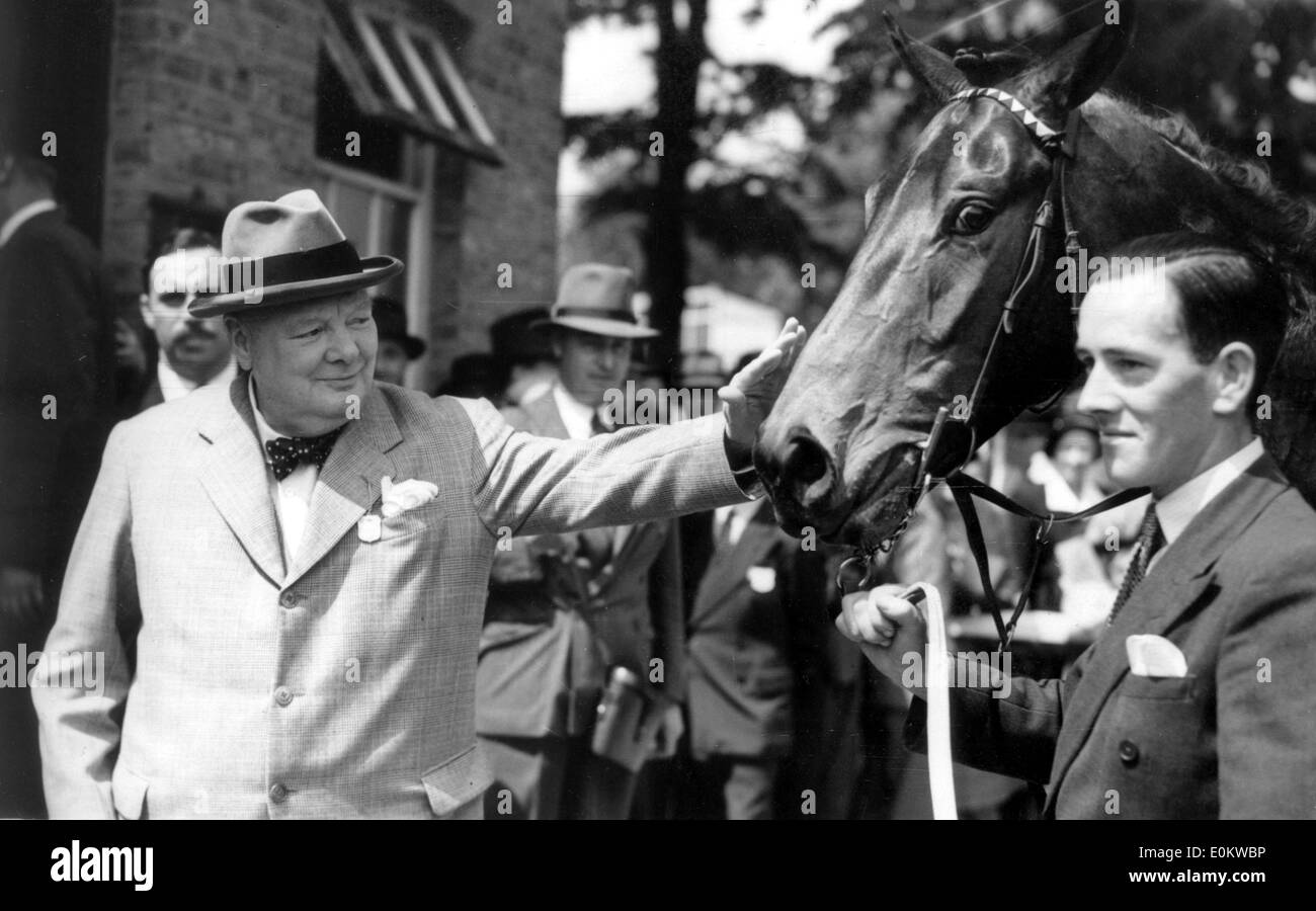 Sir Winston Churchill animali domestici cavallo a gare Foto Stock