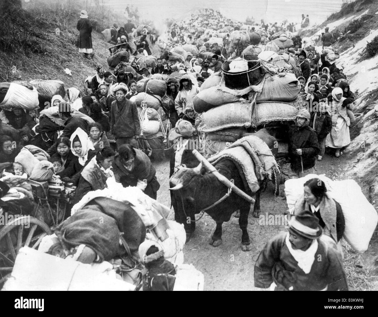 Il coreano i profughi fuggono durante la Guerra di Corea Foto Stock