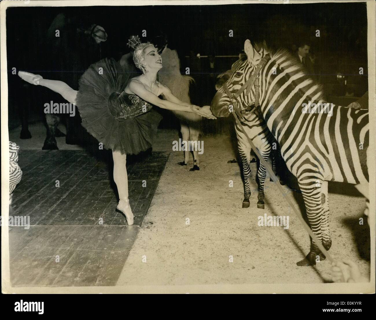 Il 12 Dic. 1952 - Nadia - La regina del circo Ballerina che ripete il  ballerino e le zebre: Nadia Nerina, 23 enne ballerina Foto stock - Alamy