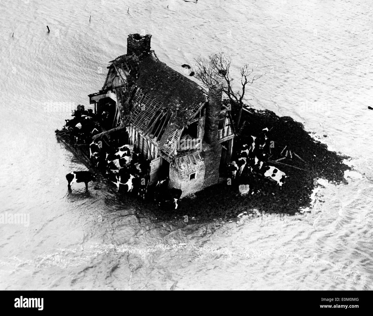 Calamità naturali: 1953 Inondazioni nella costa orientale dell'Inghilterra Foto Stock