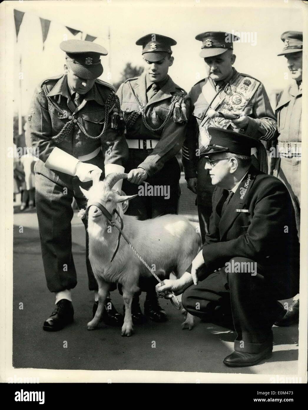 Giugno 09, 1953 - Il reggimento di welch ricevere nuova mascotte cerimonia presso lo zoo di Londra. Un giovane capra era stato consegnato ai principali j.r. Harper (4th. bt. welchregiment) - allo zoo di Londra di questa mattina. Il cappotto per essere chiamato "ospan I'' una rottura completa Dal tradizionale ''Taffy''. La capra prenderà parte a tutte le cerimonie sfilate del reggimento. La foto mostra il custode di testa Richard S. Smith con le mani su la mascotte del 'ospan I'' alla capra principali David Brooks sulla mappatura terrazza presso lo zoo di questa mattina. Grande tamburo W.Douglas Adler guarda a. Foto Stock