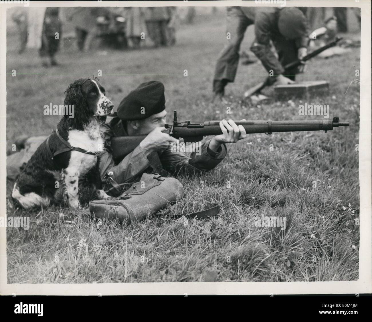 Lug. 07, 1953 - Primo giorno della riunione Bisley. Un uomo e il suo cane.: mostra fotografica "alleato" aiuta il suo master Baudains principali di Foto Stock