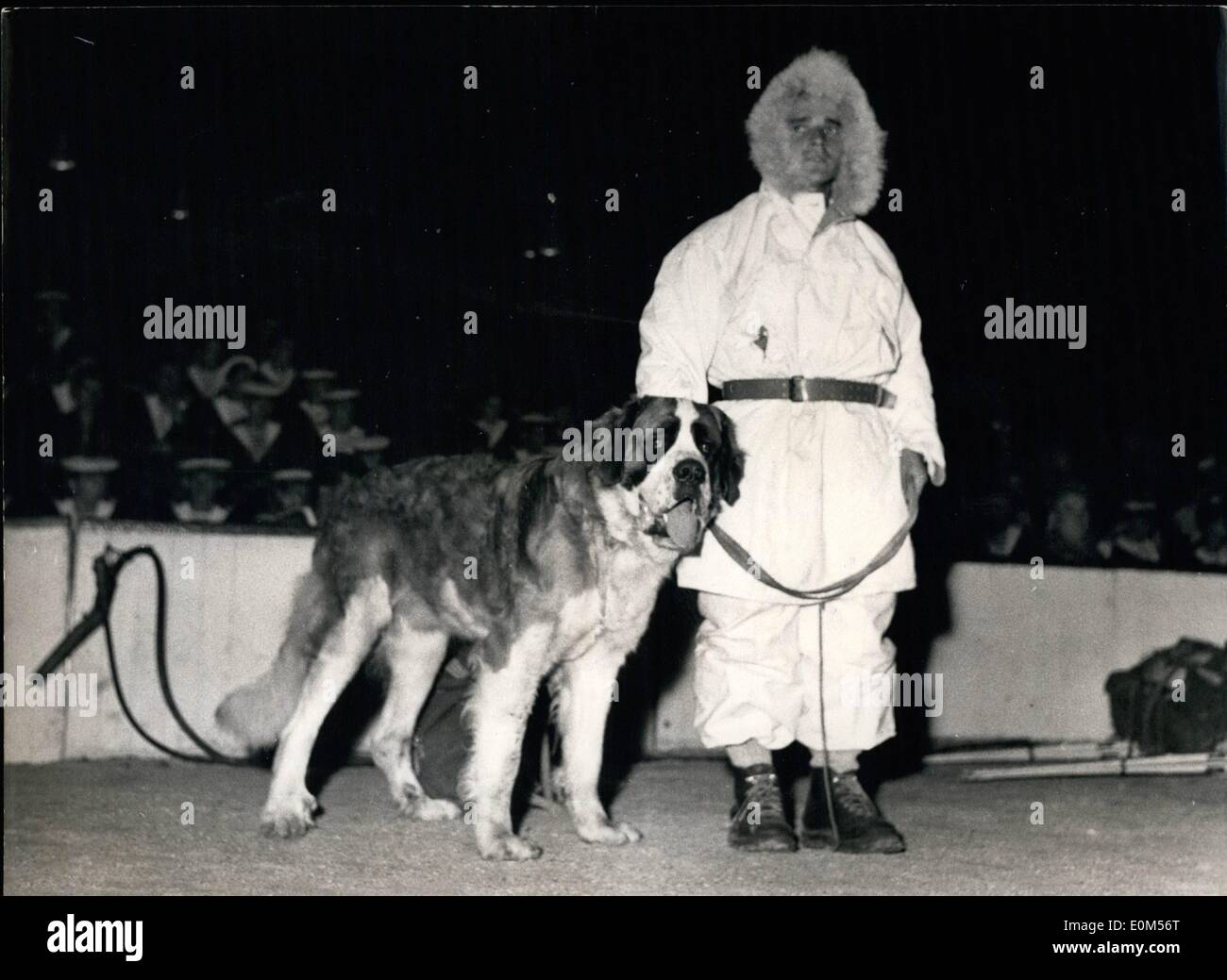 Lug. 07, 1953 - Esercito mostra al Palais des Sports. Un Chasseur Alpin (soldato francese Reggimento Alpini) con il suo San Bernardo Foto Stock