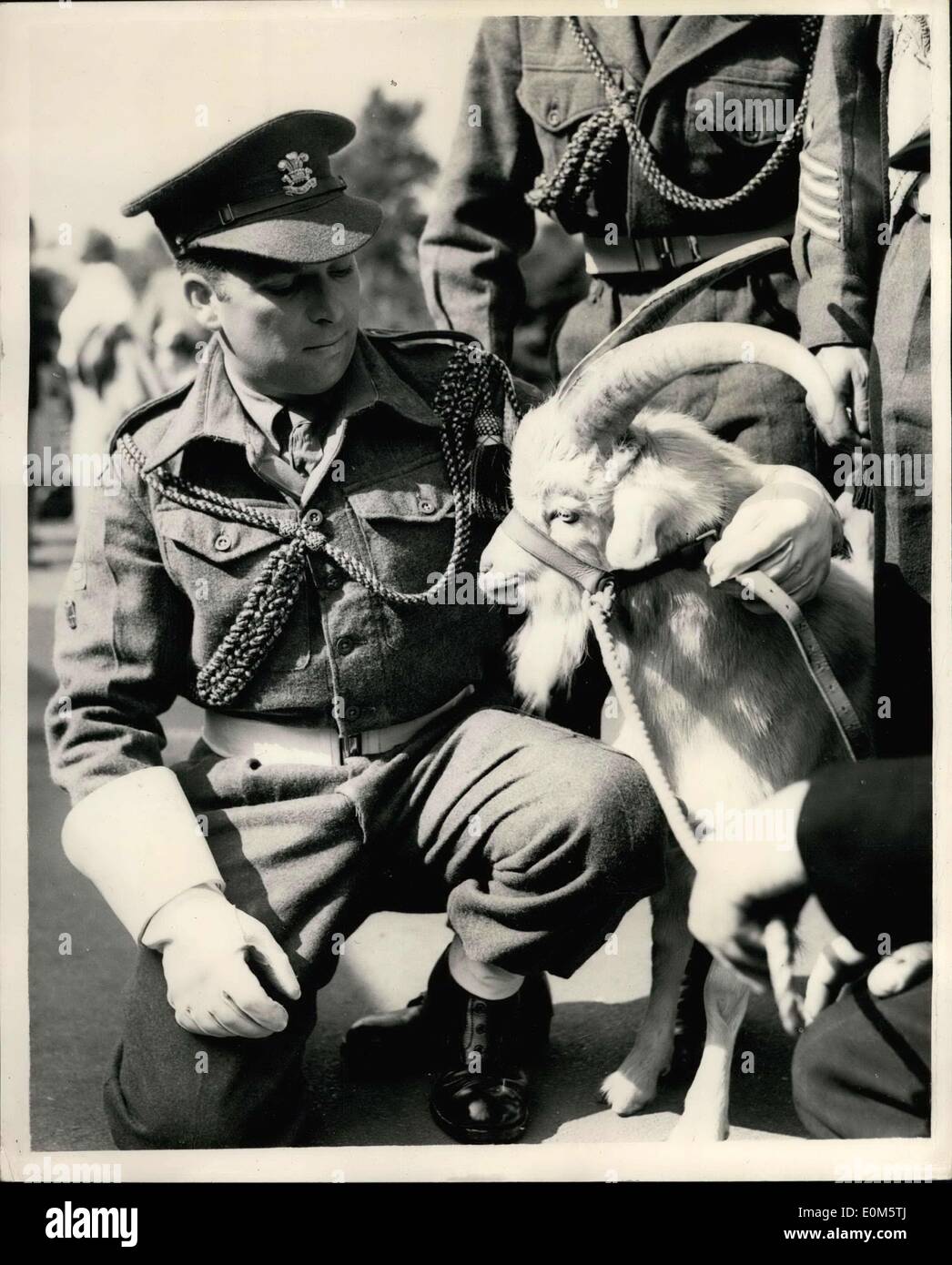 Sett. 06, 1953 - Il reggimento di Welch ricevere nuova mascotte.. Consegnate presso lo Zoo di Londra. Un giovane capra era stato consegnato ai principali J.R.Harper (4th. Bt. Welch reggimento) presso lo Zoo di Londra di questa mattina. La capra è denominato ''SOSPAN I'' una rottura completa Dal tradizionale ''Taffy''.. La capra prenderà parte a tutte le cerimonie sfilate del reggimento..mostra fotografica di capra principali David Brooks visto con 'SOSPAN I'' la nuova mascotte del reggimento sulle terrazze Mappin presso lo Zoo di Londra di questa mattina. Foto Stock