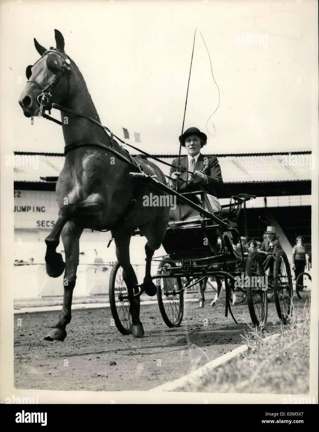 Lug. 20, 1953 - International Horse Show a Città bianca. Donna concorrente a cavo singolo vetro: Immagine: una donna concorrente presenta ''Hawthorne Trixie'' - debuttante nel cablaggio del singolo evento di occhiali presso l'International Horse Show che si tiene in città bianca questo pomeriggio. Foto Stock