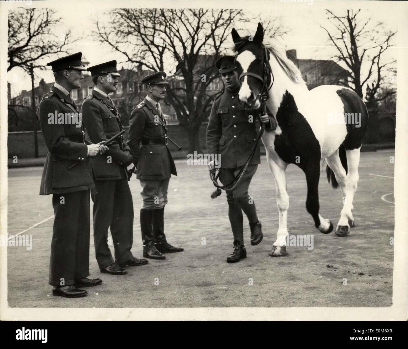 Nov. 07, 1953 - Il Blues scegliere un nuovo tamburo a cavallo. Burlone arriva a Windsor. Joker, a quattro anni di skewbald castrazione, è stato scelto come il cavallo del tamburo del Royal Horse Guards (blues), andrà a sostituire i reggimenti famoso cavallo di tamburo, Pompeo, che morì nel mese di luglio. Joker il nuovo tamburo cavallo è stato ora rinominato Annibale dal Royal Horse Guards. Keystone foto mostra: l a r i principali il marchese di Douro comandante della Royal Horse Guards, Capitano H.S. Hopkins, Lt. W.E Foto Stock