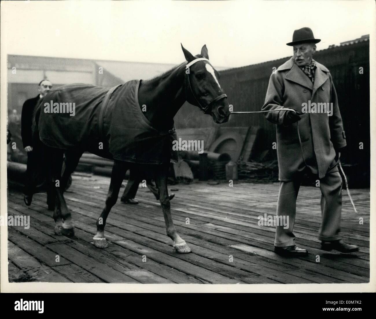 Nov. 20, 1953 - 20-11-53 Presidente PeronÃ¢â'¬â"¢s incoronazione dono del pony arrivare per la regina Ã¢â'¬â€oe La camicia Brasile Star Foto Stock