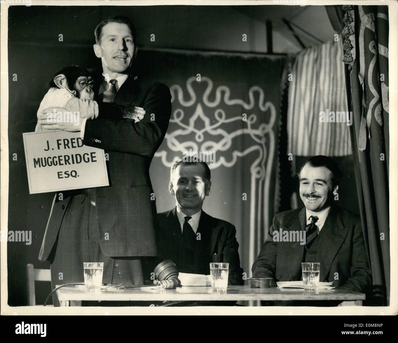 Febbraio 02, 1954 - Uno scimpanzé appare nel dibattito tra due M.P.s filmata per American tv show: Oggi Uno scimpanzé è apparso con il sig. Christopher Mayhew, manodopera p.f. per East Woolwich, e capitano L.P.S. Oppurer, conservatori p.f. per il paese verso il basso nel corso di una discussione a Windsor che è stato girato per un top American TV show. Chimp, 22 mesi di età il sig. J. Fred tazze, l'Americano di uno scimpanzé che figurato nel incoronazione TV polemiche. Oggetto della discussione di oggi: televisione commerciale. La foto mostra il signor Christopher Mayhew, p.f. è visto tenendo il sig. Chip. Nel centro è il presidente il sig. Western e sulla destra è il Capitano L Foto Stock