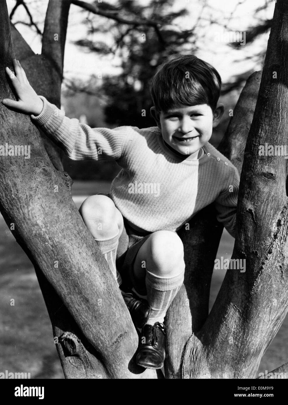 Giovane principe Charles sale su un albero presso il Royal Lodge Foto Stock