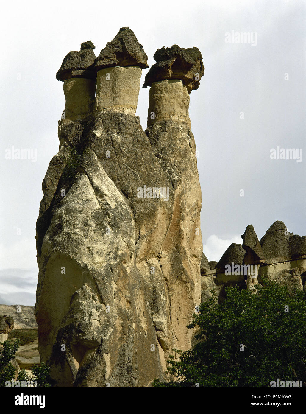 La Turchia. Cappadocia. Pasabaglari. Monk's Valley. Fata camino. Dettaglio. Anatolia centrale. Foto Stock