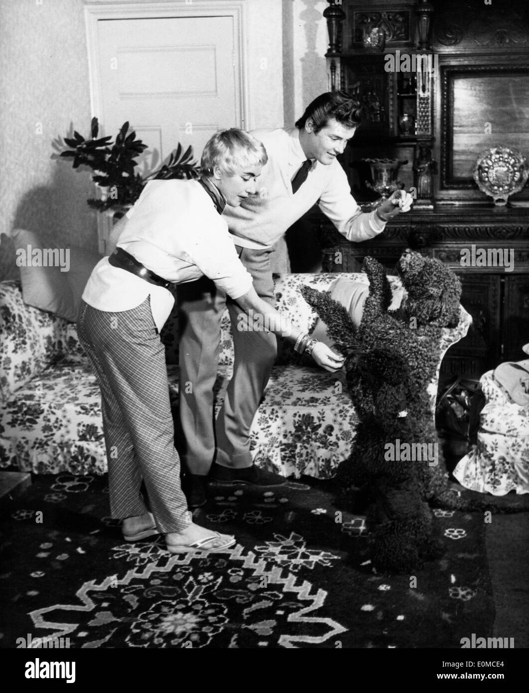 Attore Roger Moore e la moglie Dorothy Squires giocando con i loro cani Foto Stock