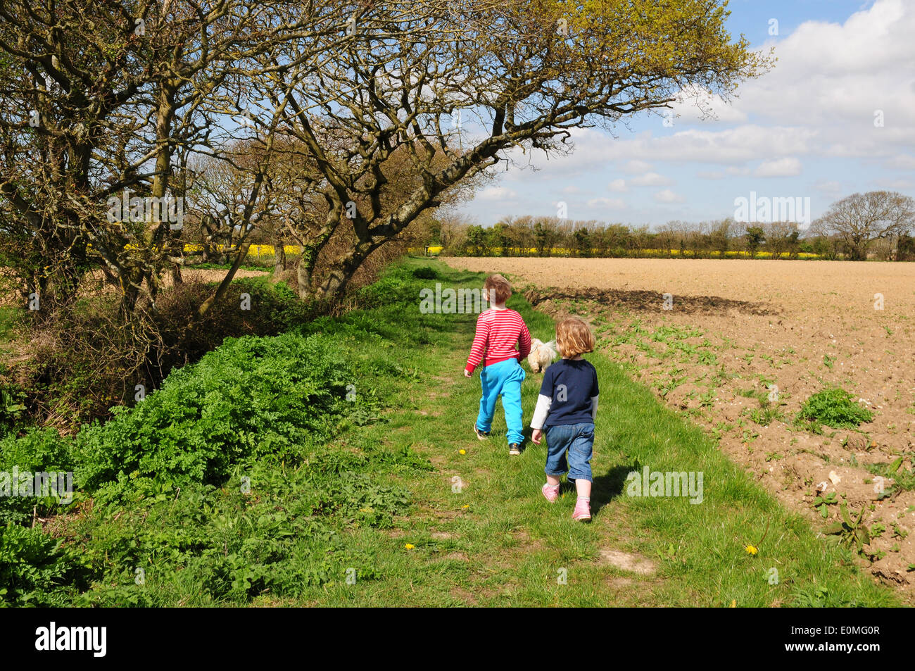 Due bambini a piedi lungo un sentiero con Shih Tzu. Windy giornata di primavera. Foto Stock