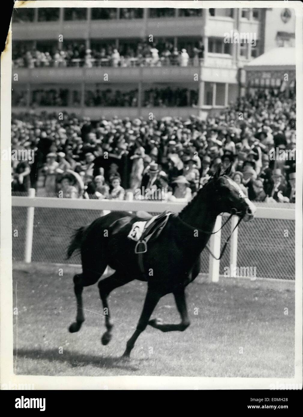 Lug. 07, 1955 - Royal Ascot - Seconda giornata. D. Smith è tolto dal suo supporto.: La partenza della prima gara a Ascot oggi - i picchetti di Jersey è stato tenuto fino quando jockey D. Smith è stato tolto dal suo monte, la legge marziale, al gate di partenza. Il cavallo è stato ritirato ma è venuto sotto staer ordini. La foto mostra la legge marziale, visto al galoppo passato il Royal Box dopo il detallonamento D. Smith all'inizio della Jersey Stakes ad Ascot oggi. Foto Stock