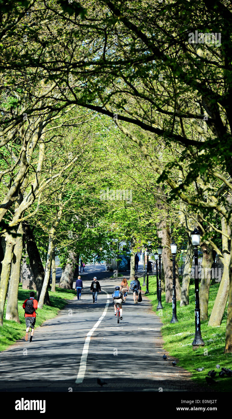 Il livello recentemente rinnovato a Brighton Regno Unito Foto Stock