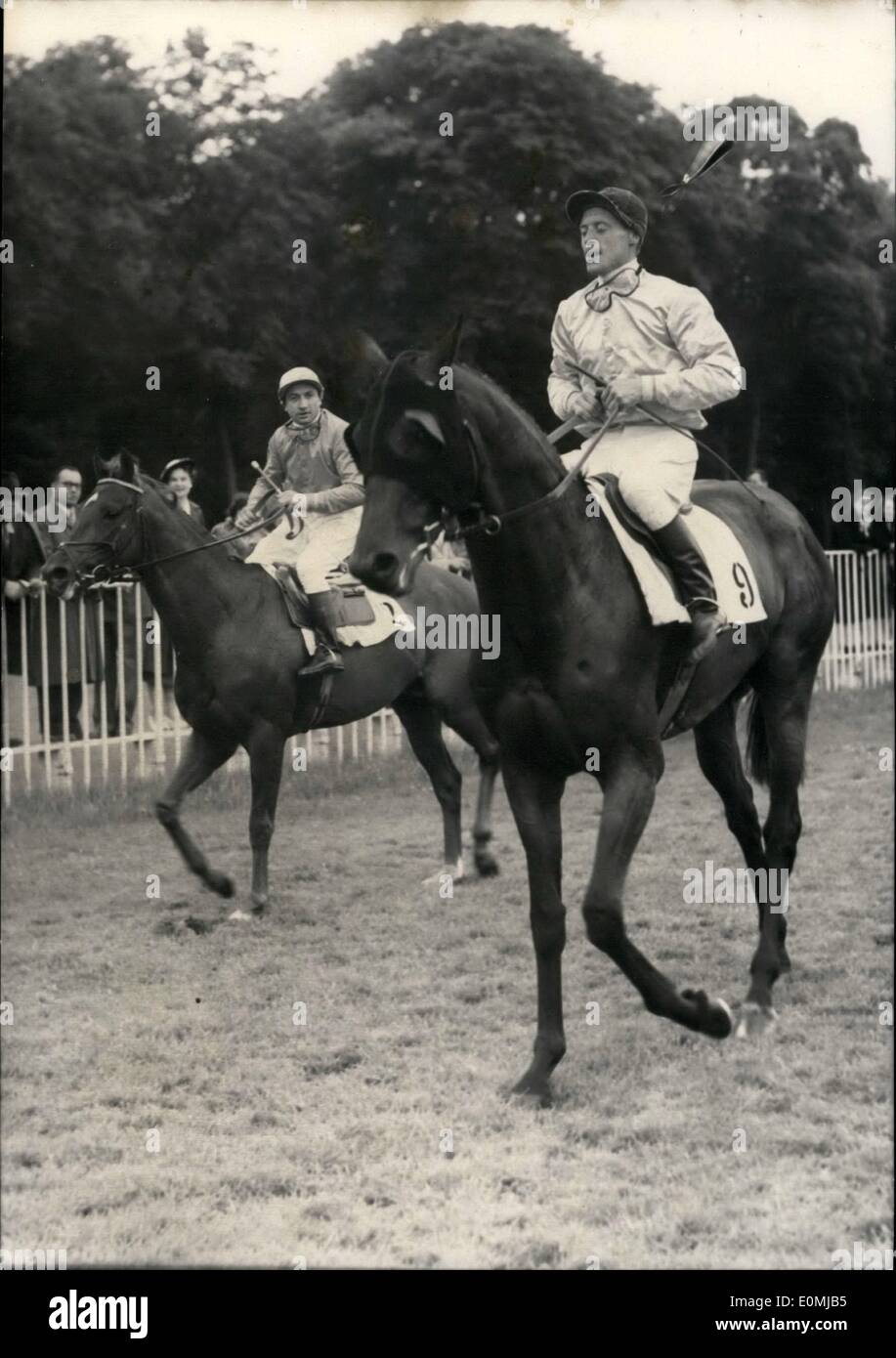 Giugno 06, 1955 - ''Rapace'' vince il Prix Du Jockey Club a Chantilly; il cavallo vincente cavalcato da Palmer dopo la gara svoltasi a Foto Stock