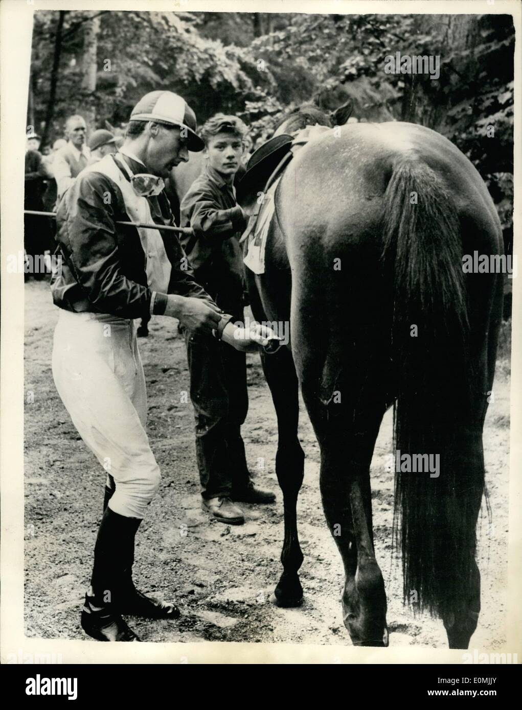 Giugno 06, 1955 - Gruppo capitano Townsend va a cavallo - vicino a Copenhagen... Egli viene in sesta. Gruppo capitano Peter Townsend ha preso parte a un altro cavallo di razza in questo fine settimana - questa volta è stato in occasione della riunione tenutasi a Klampenbirg Vaeddebsbane, vicino a Copenhagen... Egli giunse sesto... Keystone Foto Mostra: Capitano Peter Townsend prepara la sua bocca prima della gara di oggi. Foto Stock