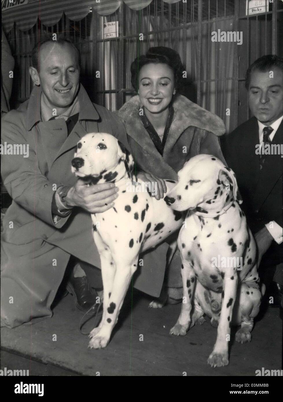 Dic. 03, 1955 - Dog Show si apre a Parigi: un dog show è ora trattenuto presso la Salle Wagram, Parigi. Bourvil, il famoso comico, Foto Stock