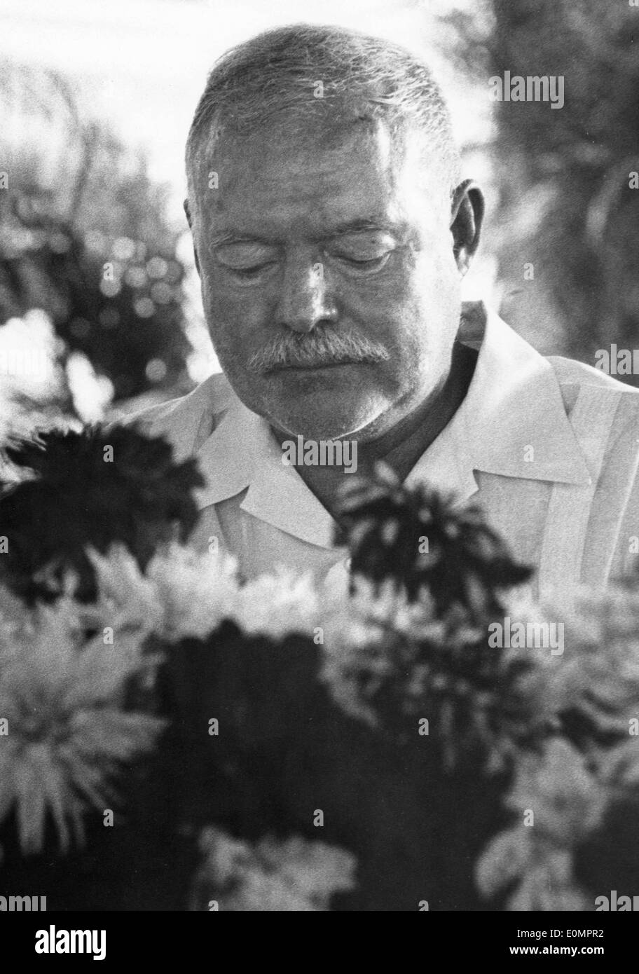 Ritratto del romanziere americano Ernest Hemingway con fiori in Cuba Foto Stock