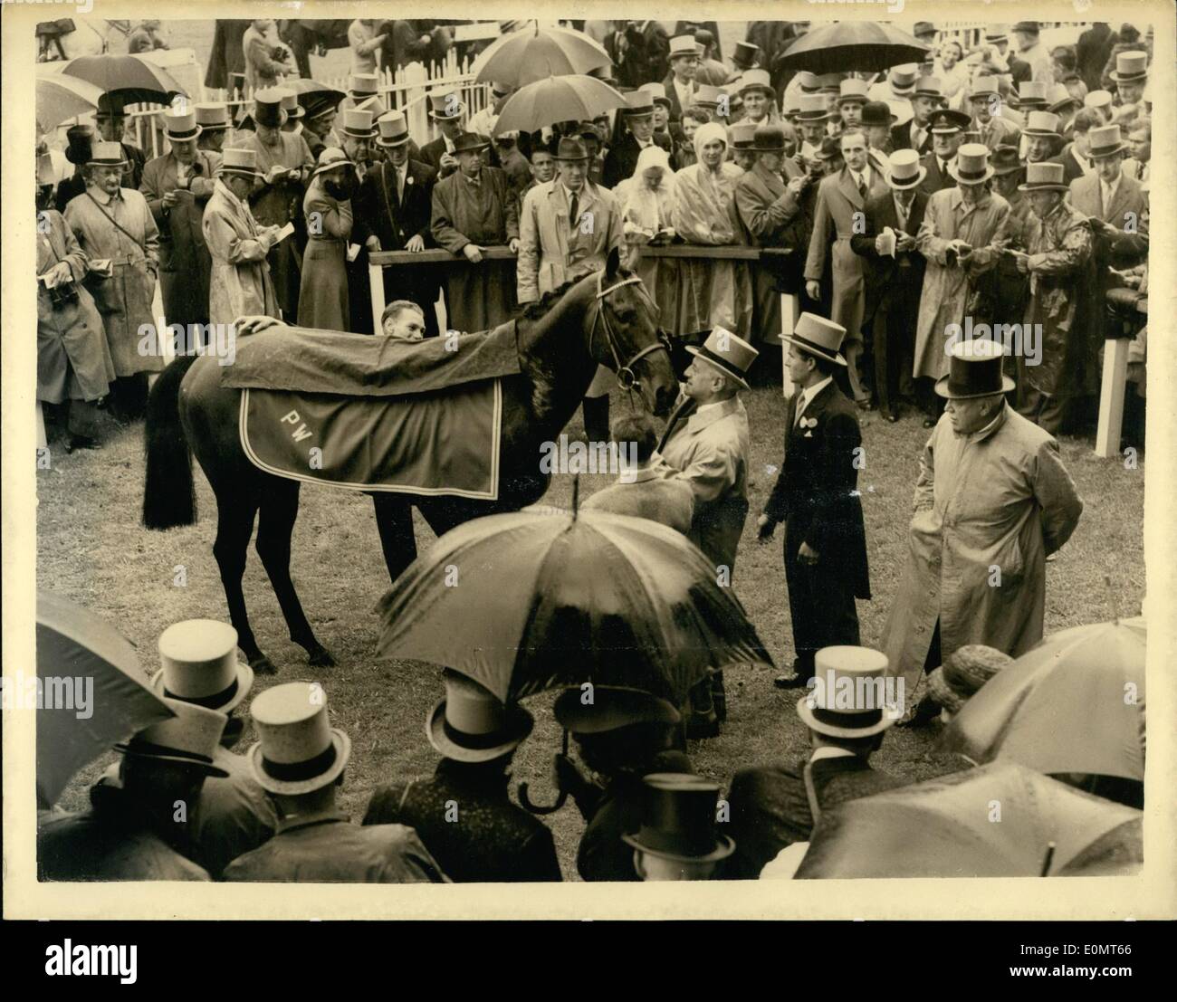 Giugno 06, 1956 - Francese cavallo ''Lavandina'' vince il derby 1956...scena nel contenitore unsaddling.: il derby a Epsom questo pomeriggio è stato vinto da ''Lavandina'' - di proprietà di M. Pierre Wertheimer e cavalcato da W.R. Johnstone...In secondo luogo era ''Monteval'' (F. Palmer) con ''Roistar'' (J. Eddery) terzo. Mostra fotografica di scena nel contenitore unsaddling come M. Pierre Wertheimer pacche ''Lavandina'' - dopo quest'ultimo grande vittoria a Epsom oggi. Foto Stock