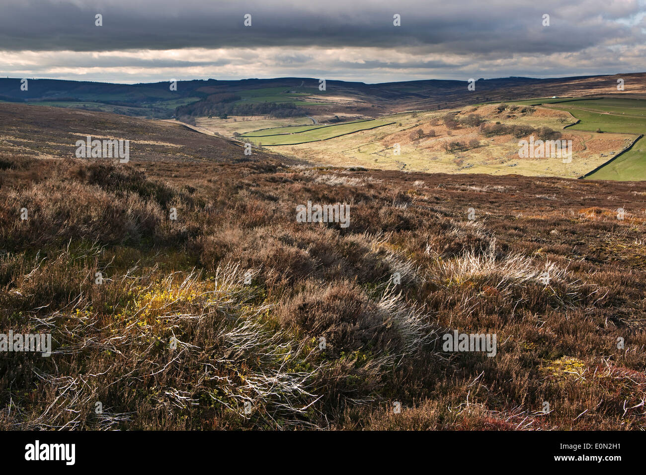 Una vista attraverso il North York Moors National Park presi da altezze Kempswithen vicino Kildale Foto Stock