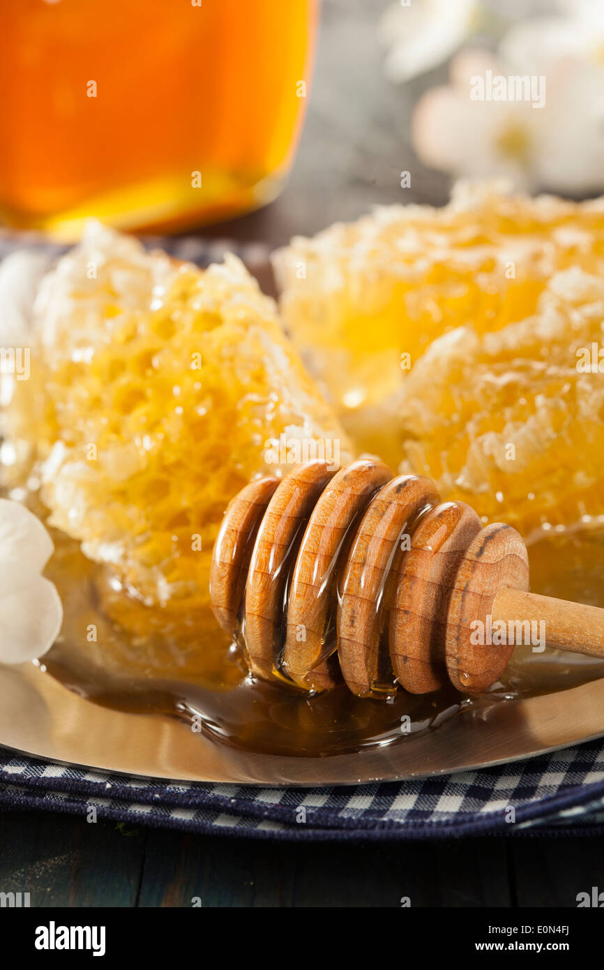 Materie organiche Golden honey comb su uno sfondo Foto Stock