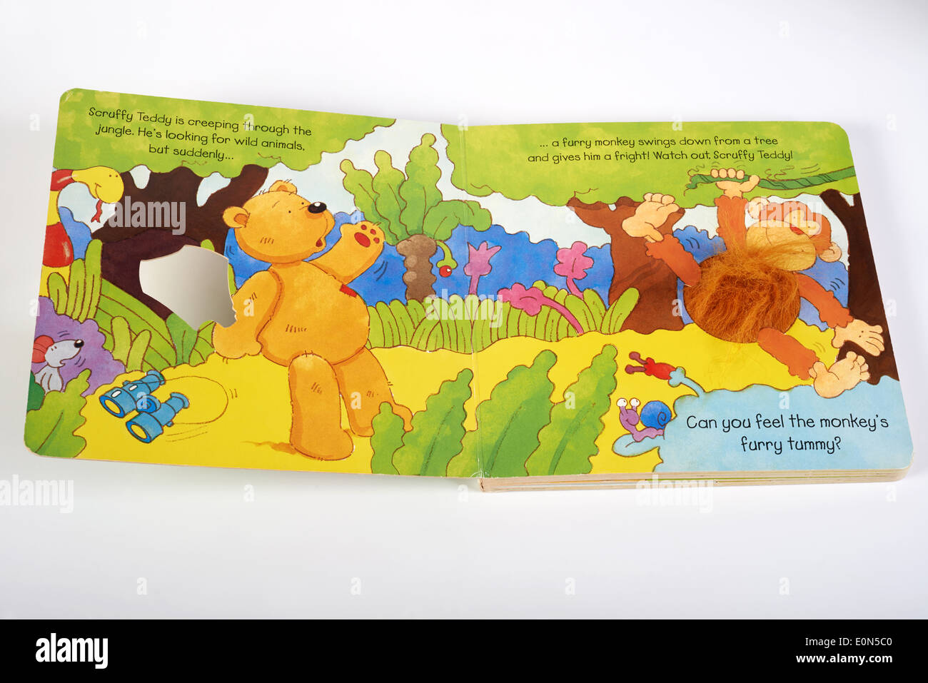 Scruffy Teddy Super Safari libro per bambini Foto stock - Alamy