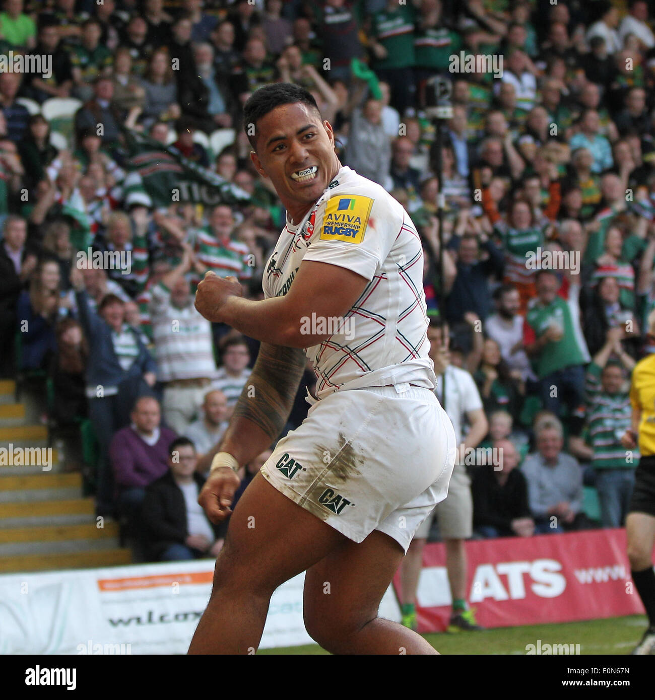 16.05.2014. Northampton, Inghilterra. Manu Tuilagi di tigri celebra la sua incisione della prima prova di Aviva Premiership Play Off match tra santi di Northampton e Leicester Tigers a Franklins giardini. Foto Stock
