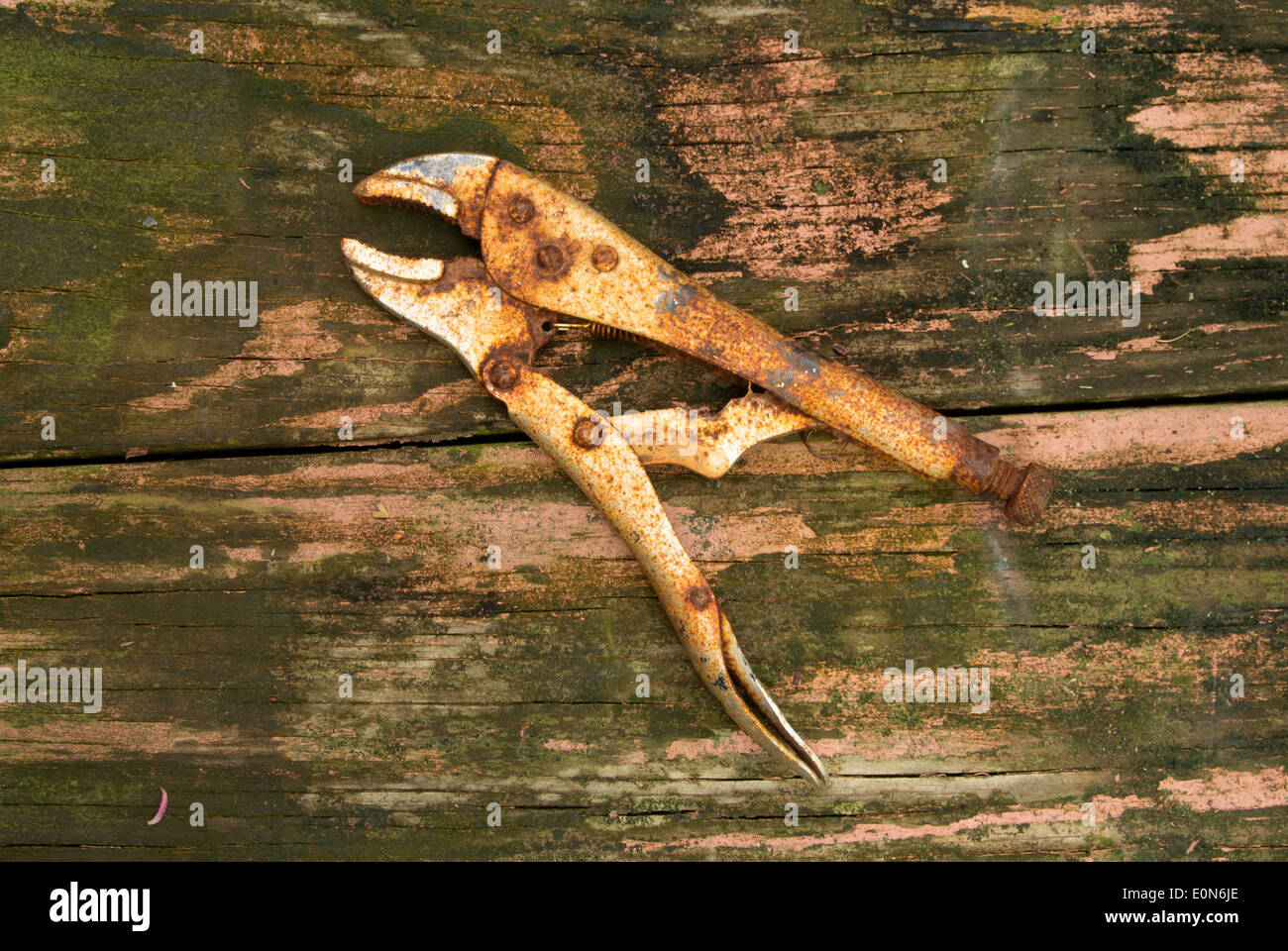 Rusty visegrip tagliere in legno. Foto Stock